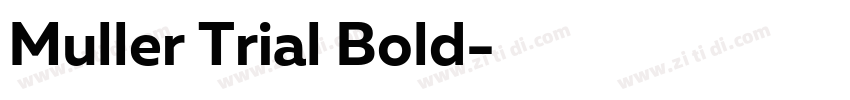 Muller Trial Bold字体转换